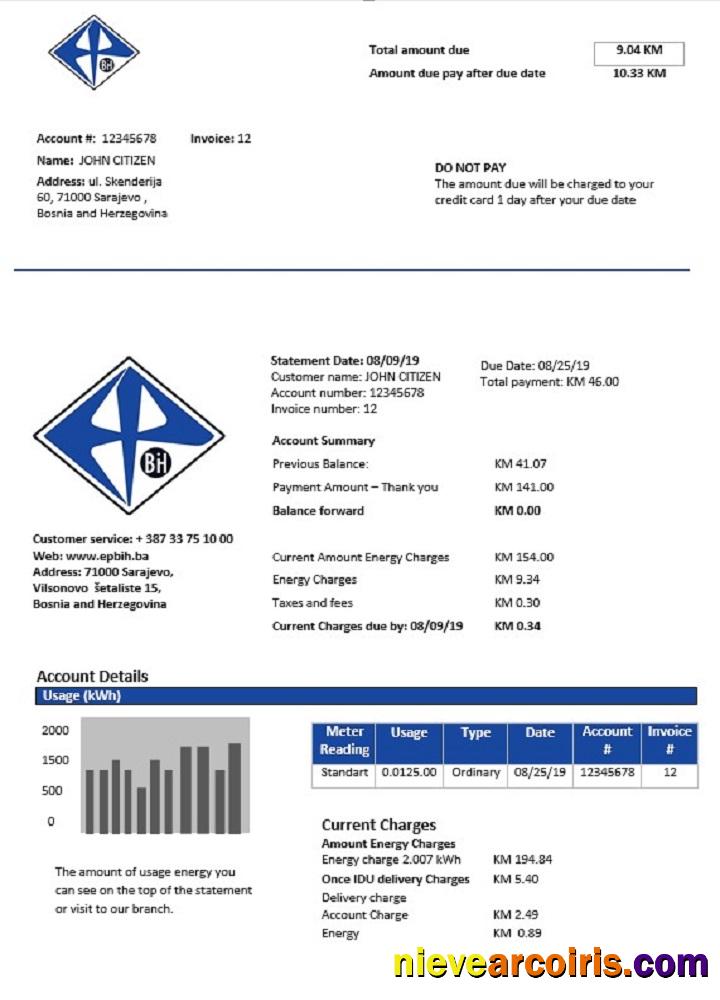 Bosnia and Herzegovina Elektroprivreda BiH electricity utility bill